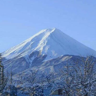 山海绘境游戏下载